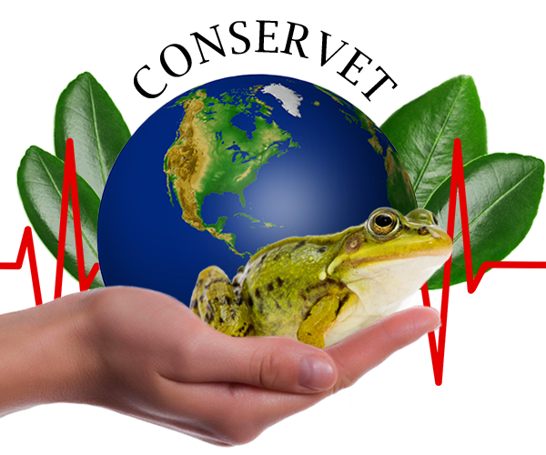 One Health symbol hand holding world frog leaves