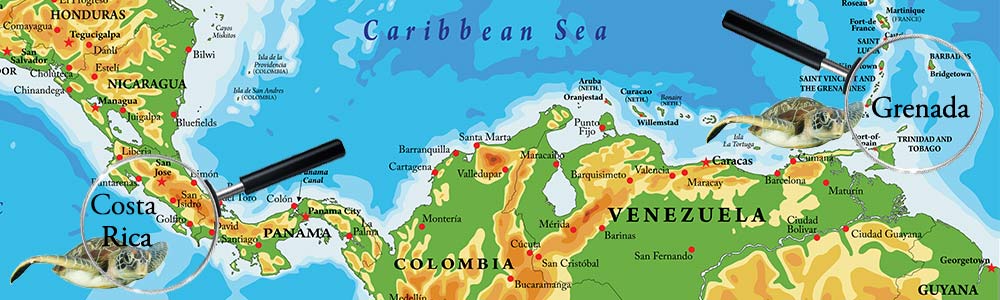 map of Grenada and Costa Rics showing sea turtle